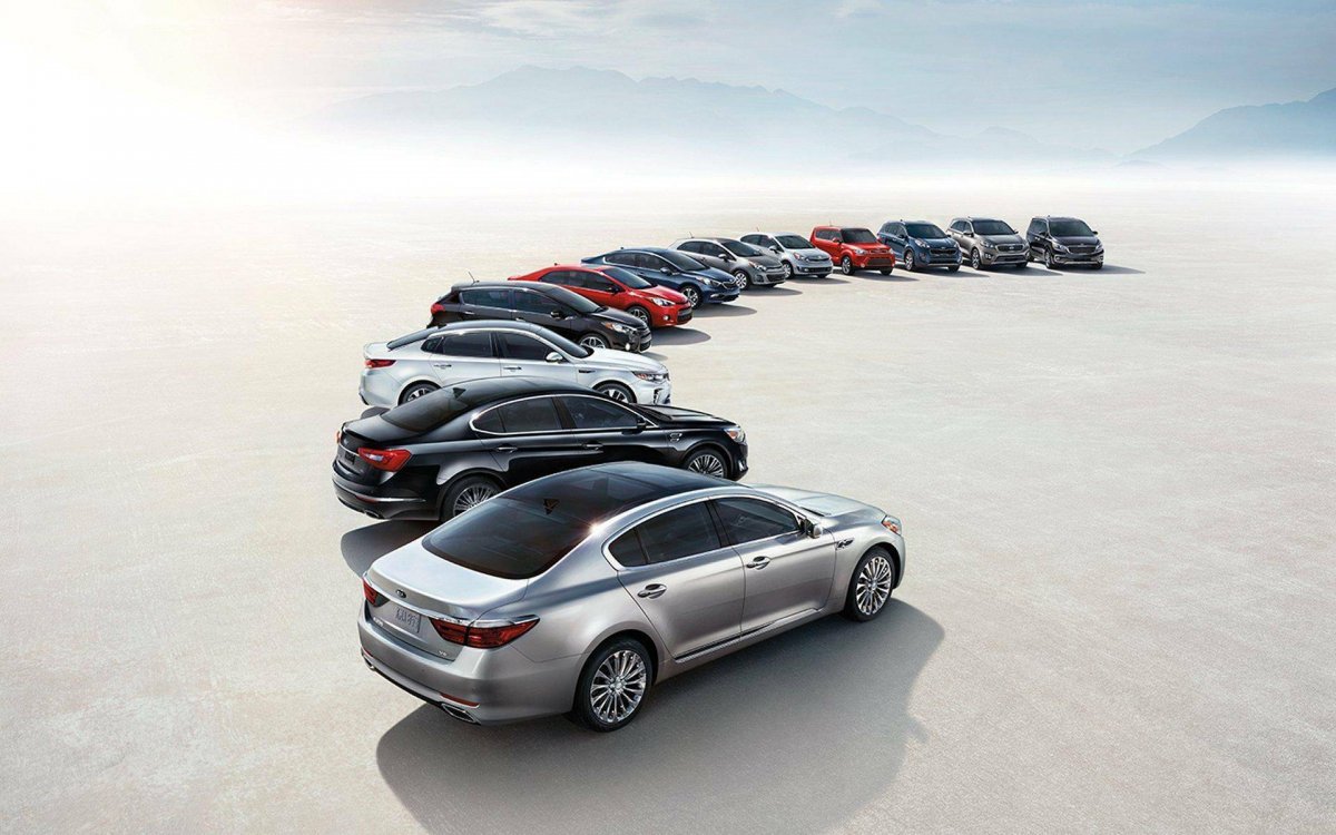 Много автомобилей разных марок