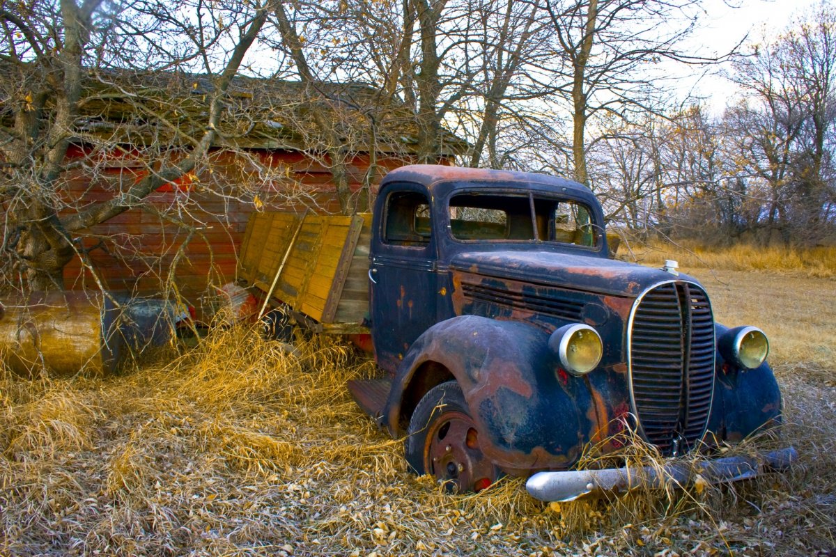 Природа дом машина