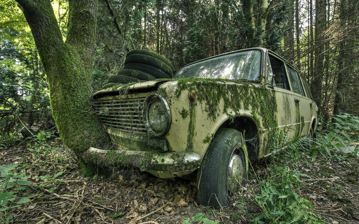 Автомобиль на фоне осени