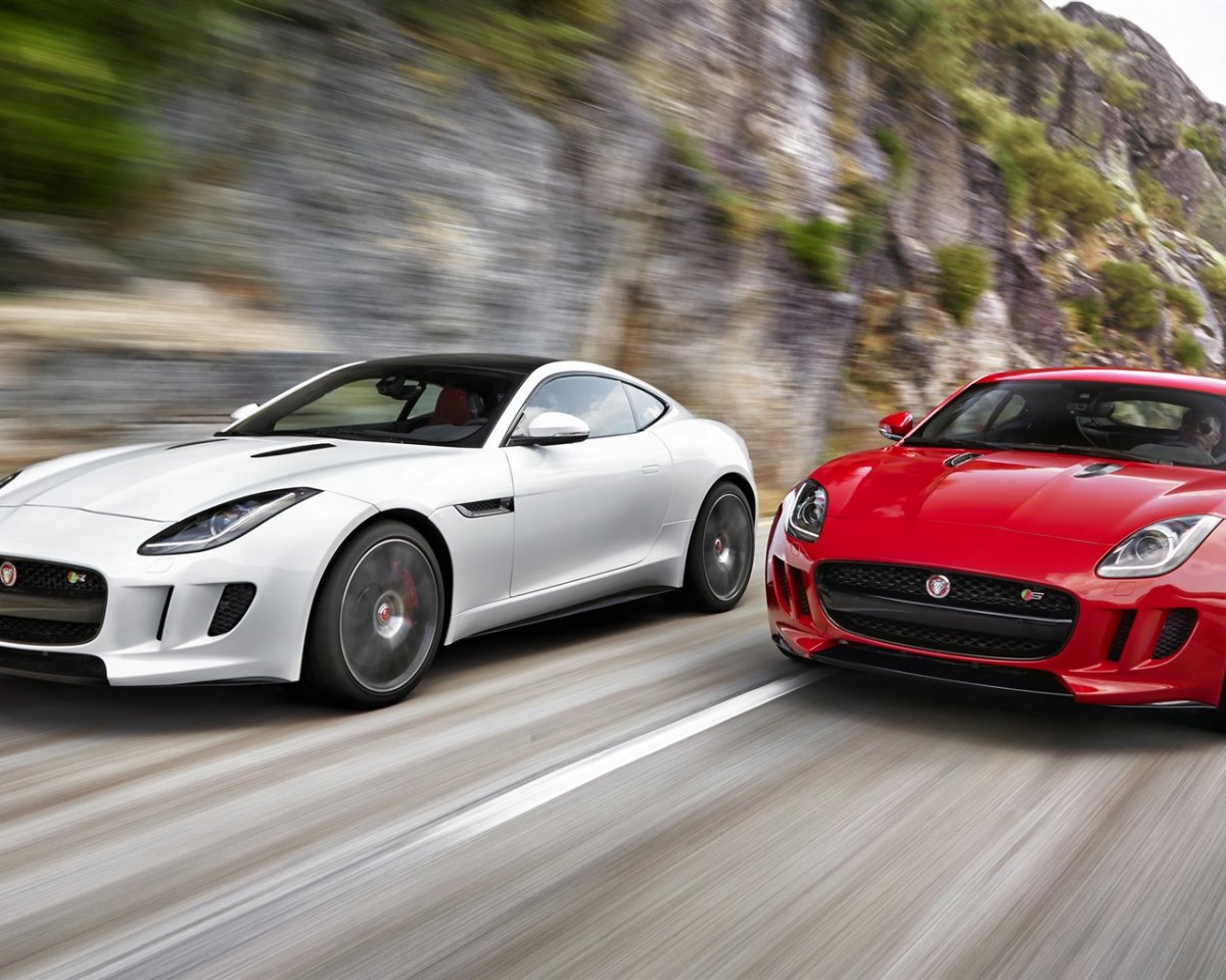 Машина felino cb7