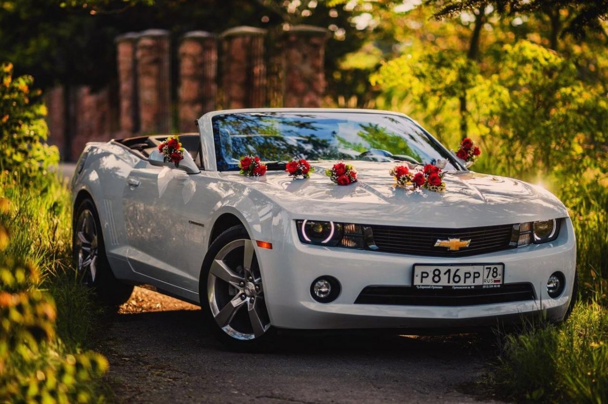 Камаро кабриолет белый