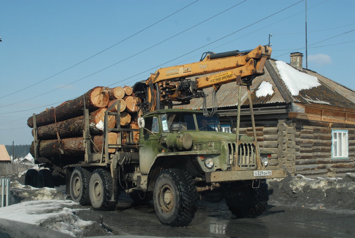 Урал 375 лесовоз с лесом