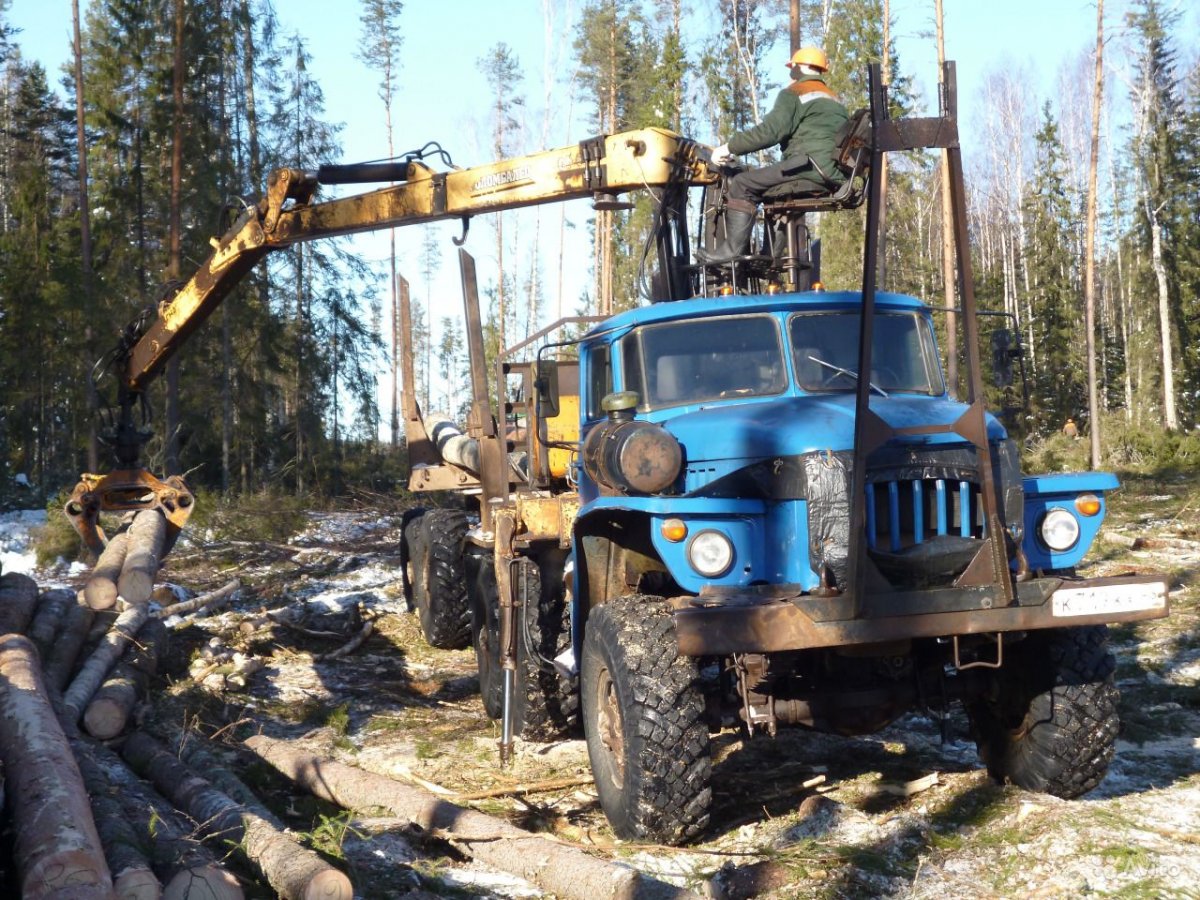 Урал синий 4320 лесовоз