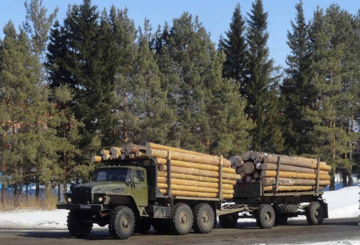 Урал 4320 лесовоз