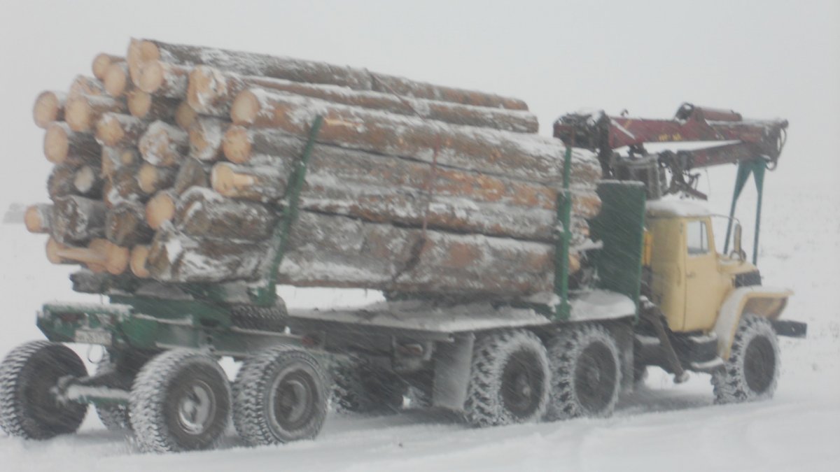 Урал 5493l1 лесовоз