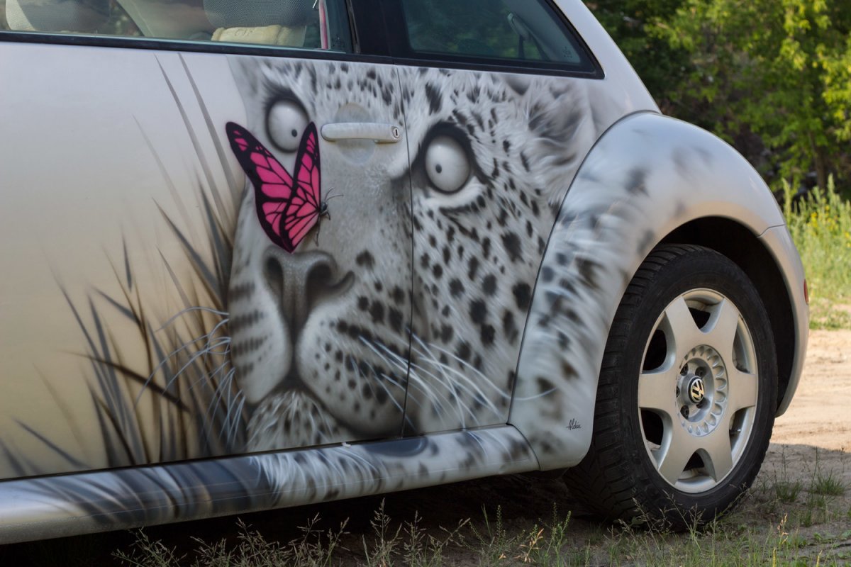 Аэрография на машине