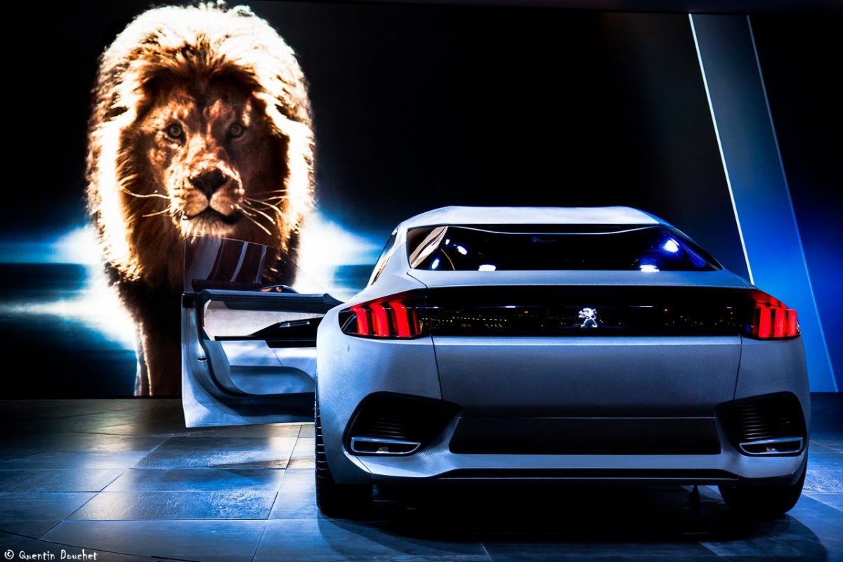 Лев в машине