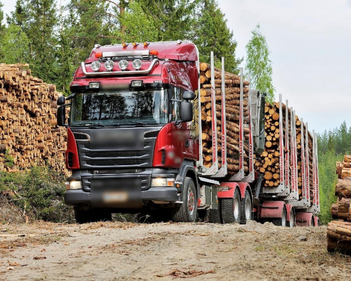 Scania r730 сортиментовоз