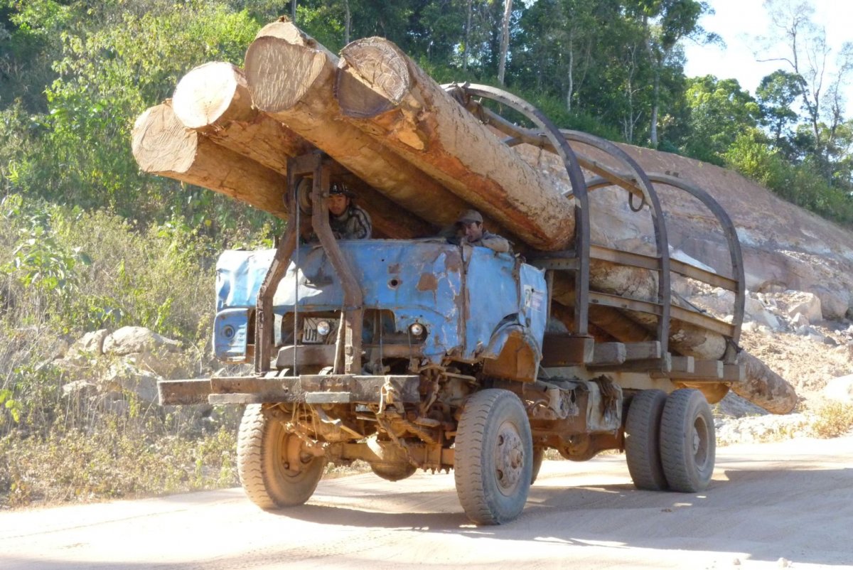 Автопоезд лесовоз