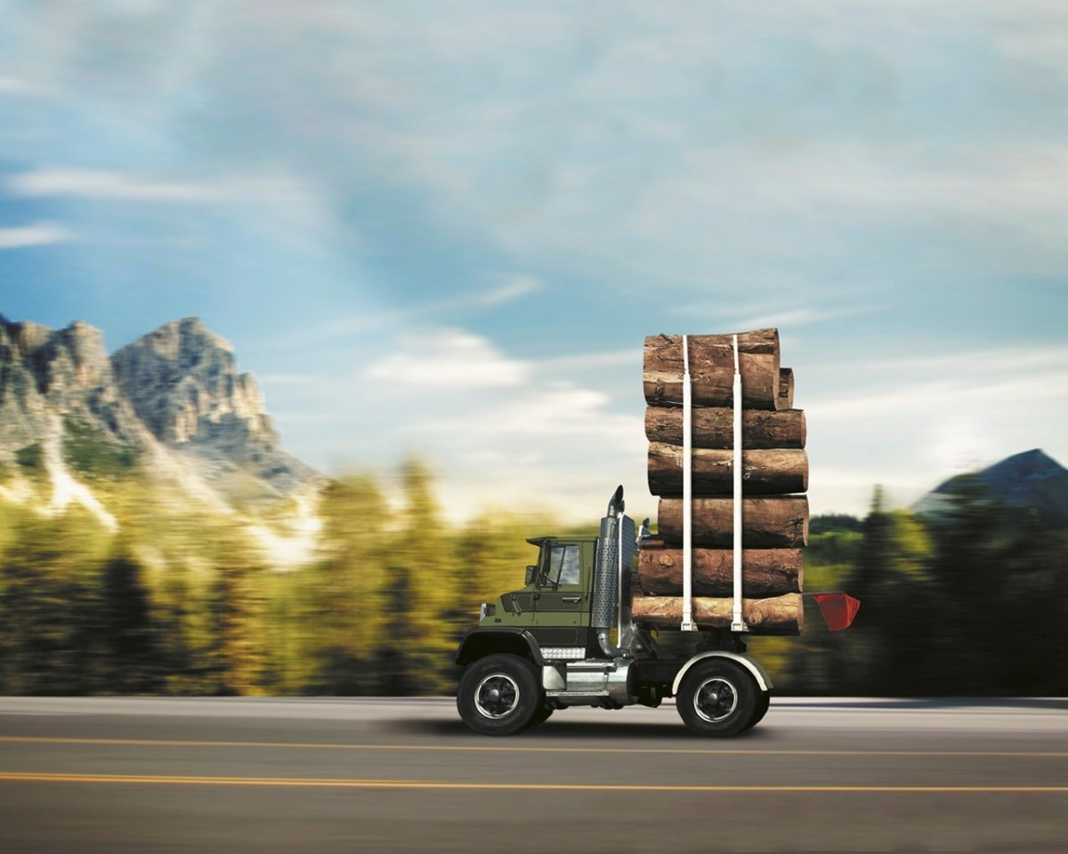 Лесовоз сису Форест