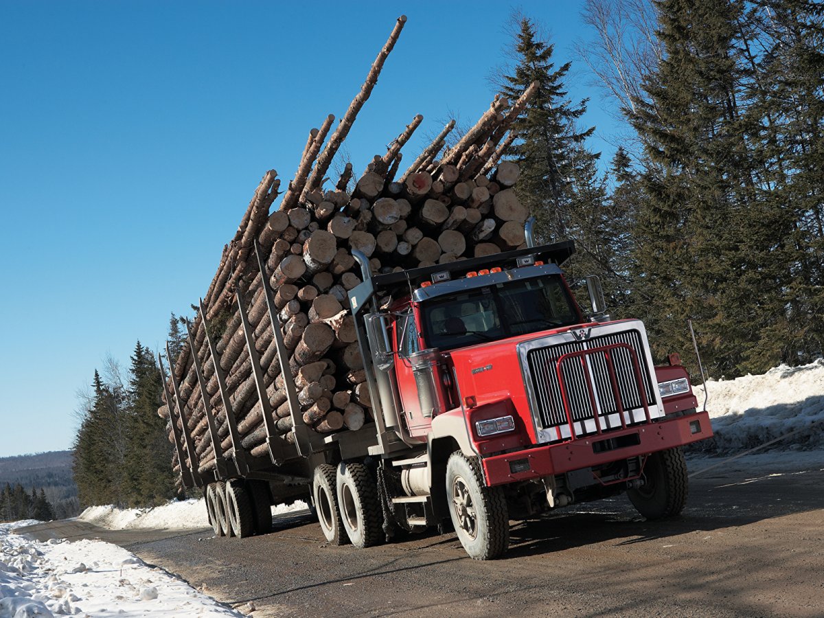 Caterpillar лесовоз