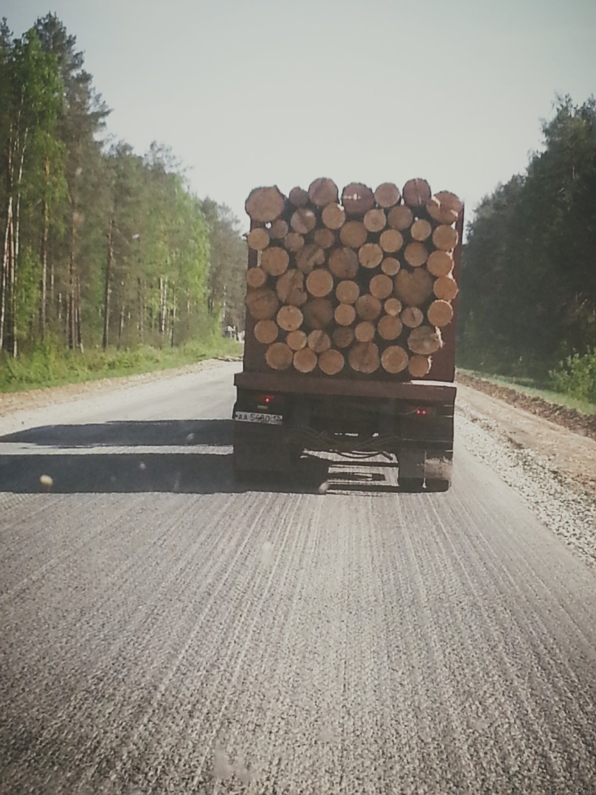 Лесозаготовка Тверская область