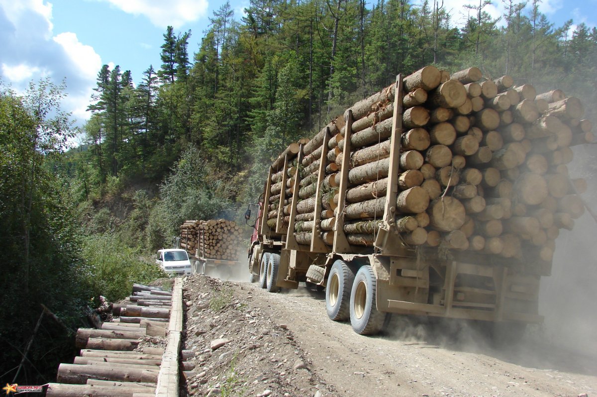 Пункт назначения 2 грузовик с бревнами