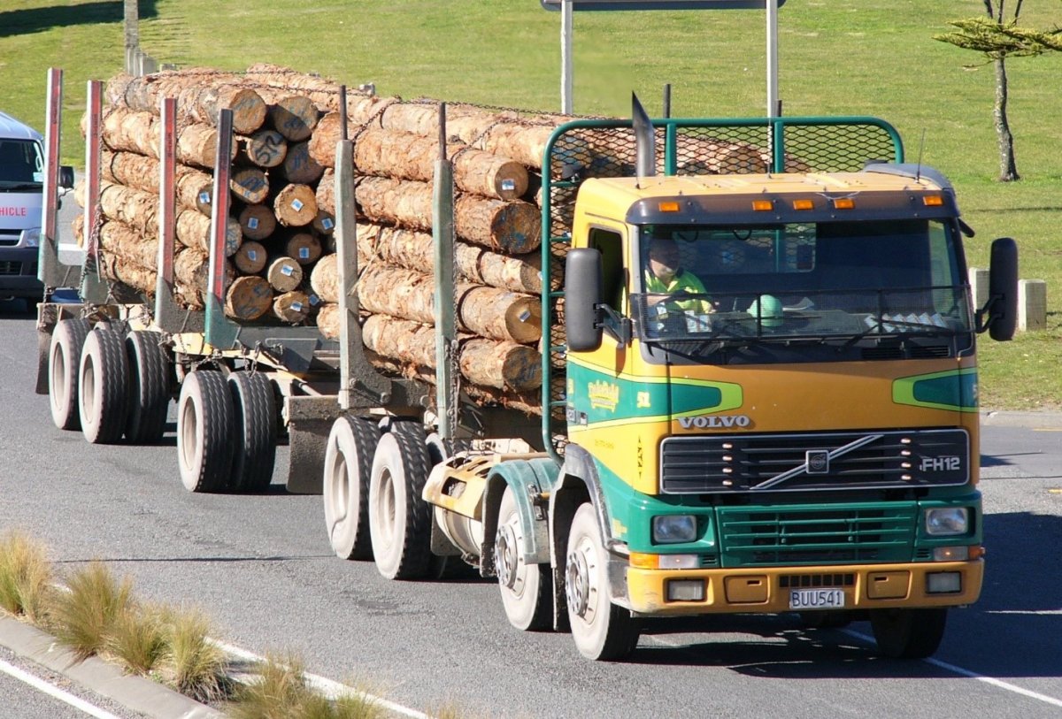 Машина под деревом