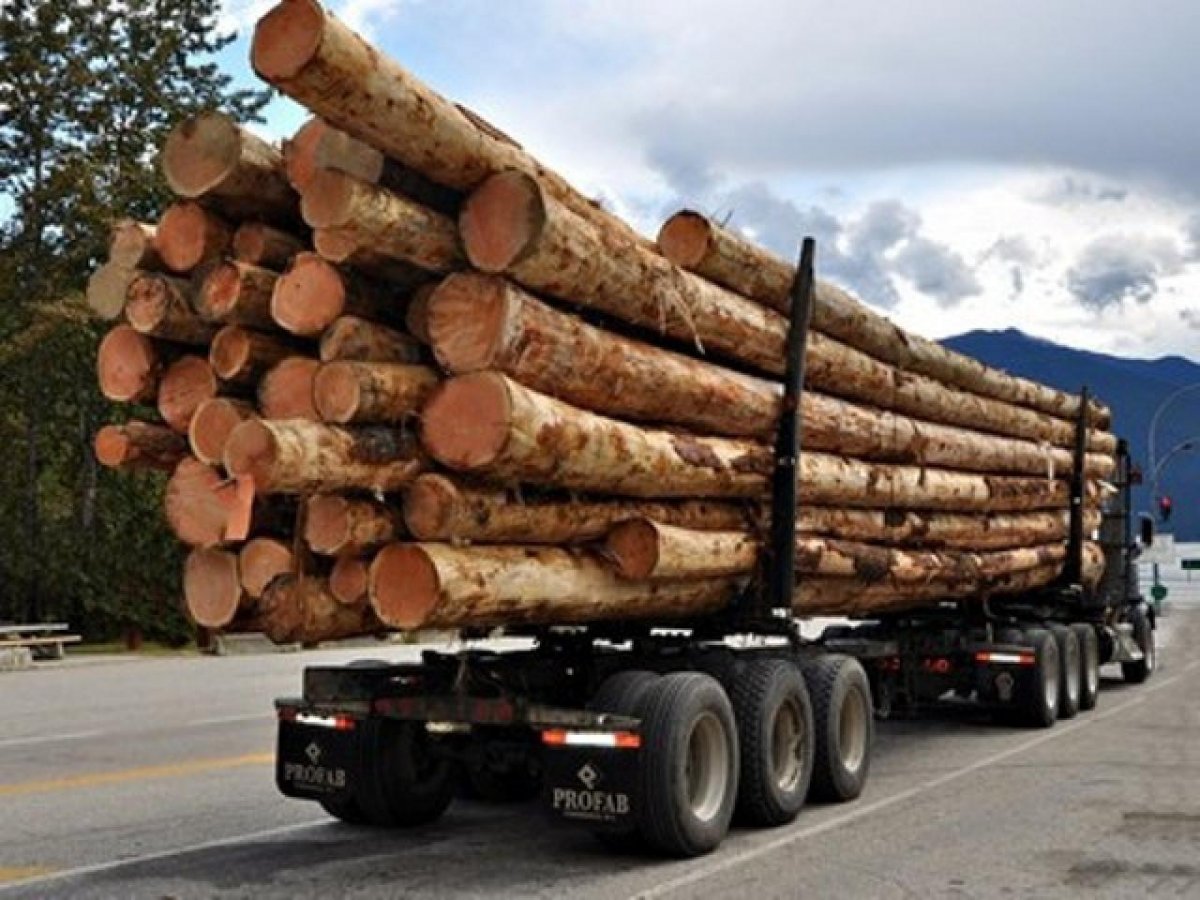 Машина с бревнами