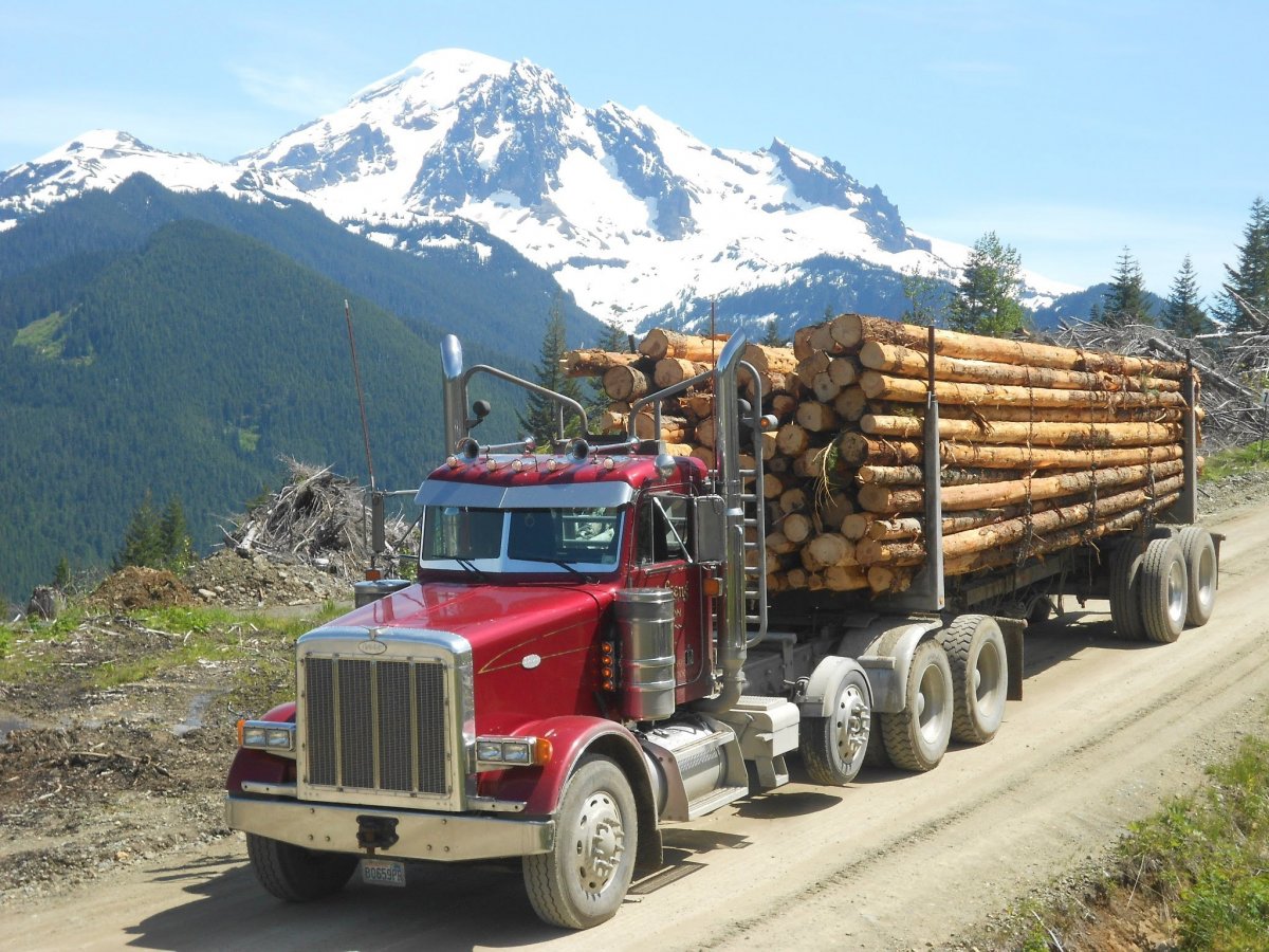 Скания тягач r620