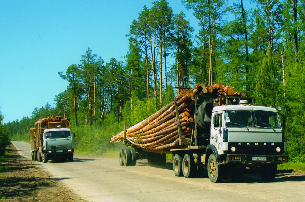 Лесовоз 85-99 МС