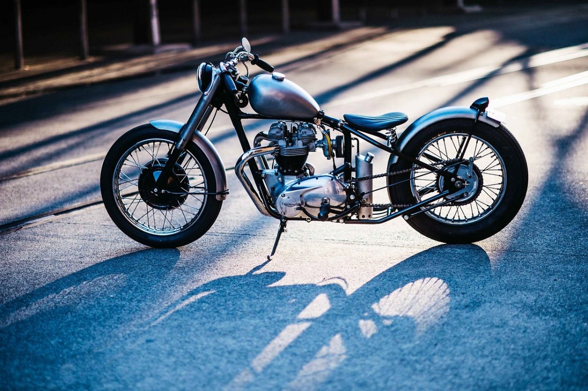 Европейский бобер мотоцикл