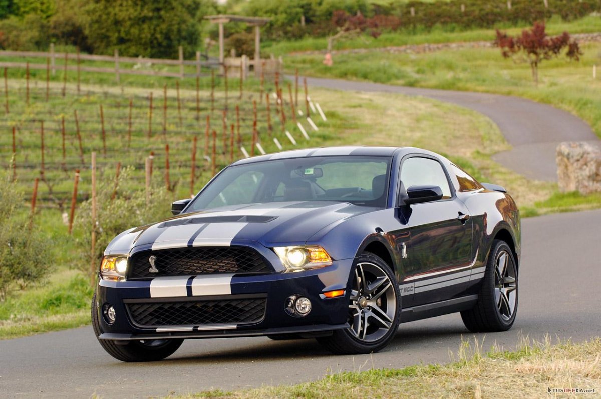 Форд Шелби 20 20
