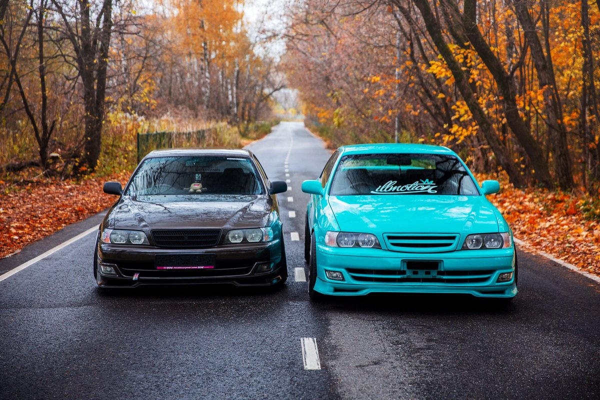 JDM маркообразные