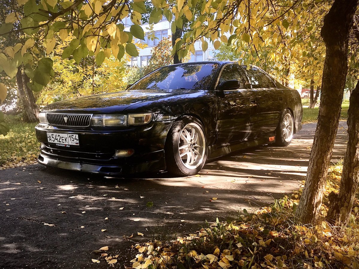 Семейство маркообразных