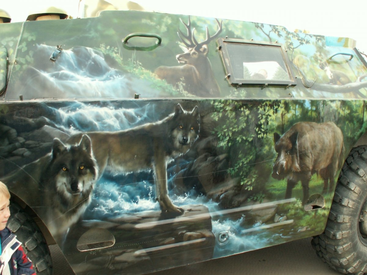 Аэрография сталкер на авто