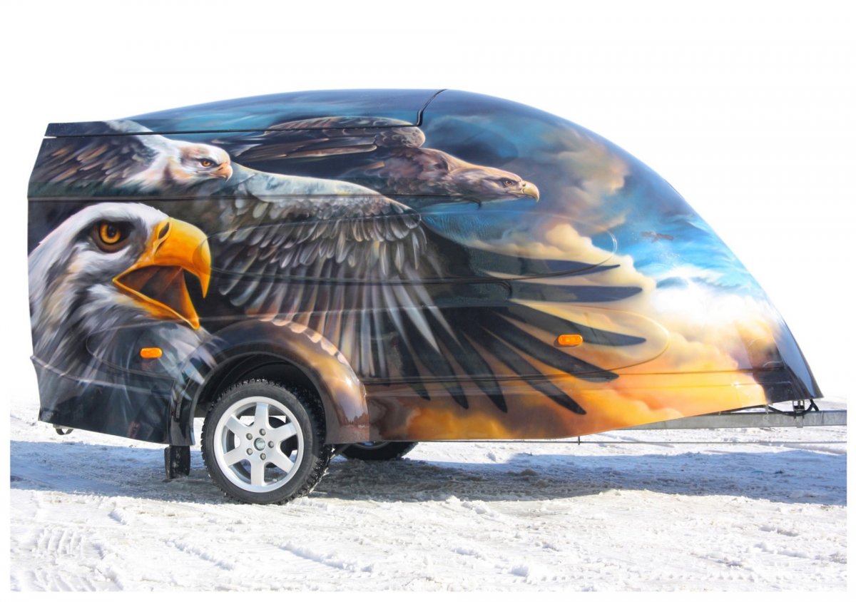 Бык аэрография