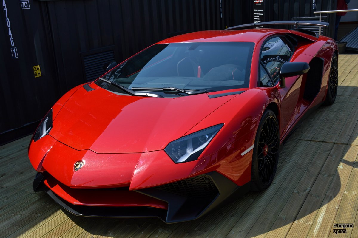 Бык авентадор