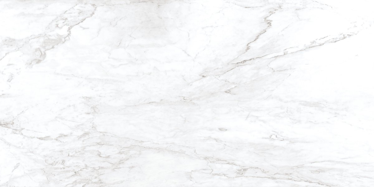 Arabescato Mont Blanc ck12021pol XL полированный 60 120 Dioro Ceramic 600 1200