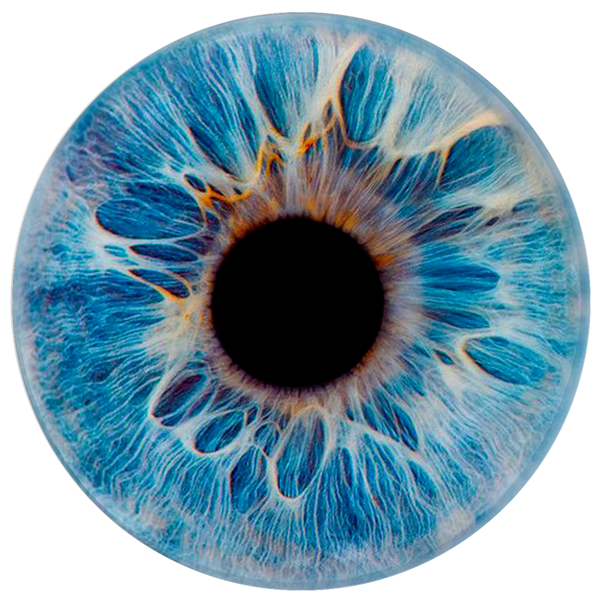 Текстура глаза