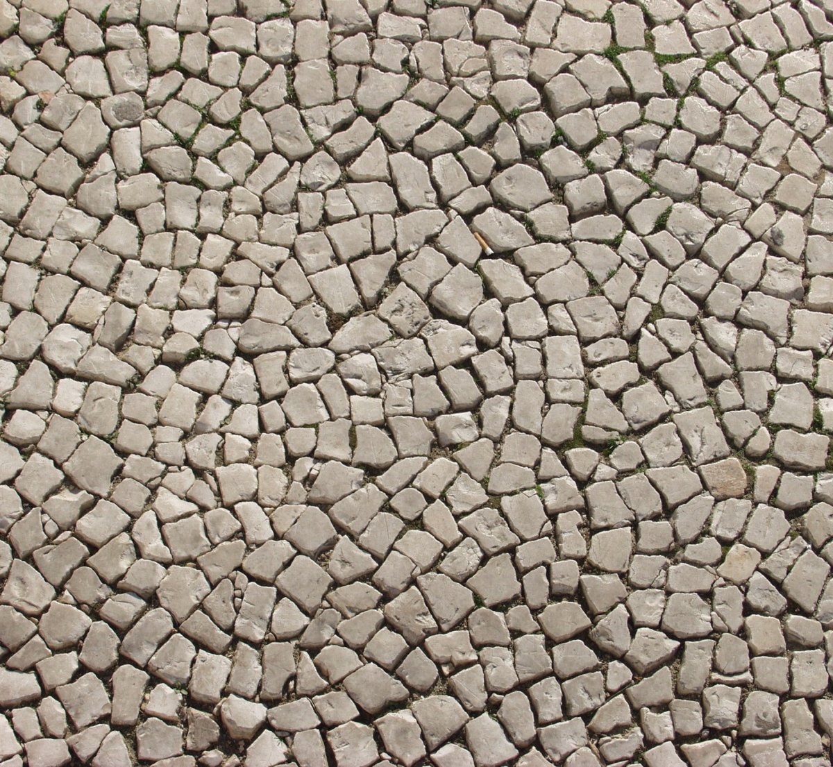 Тротуарная плитка текстура 3d Max Bumb