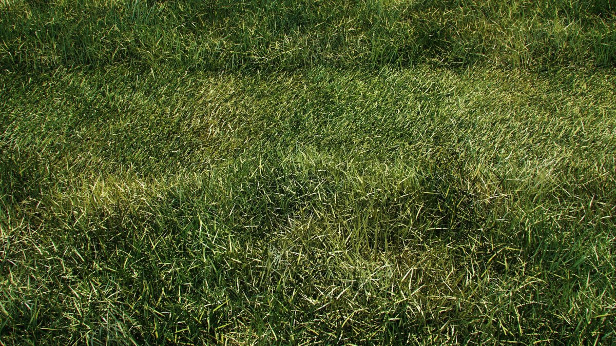 3ds Max газон hq grass