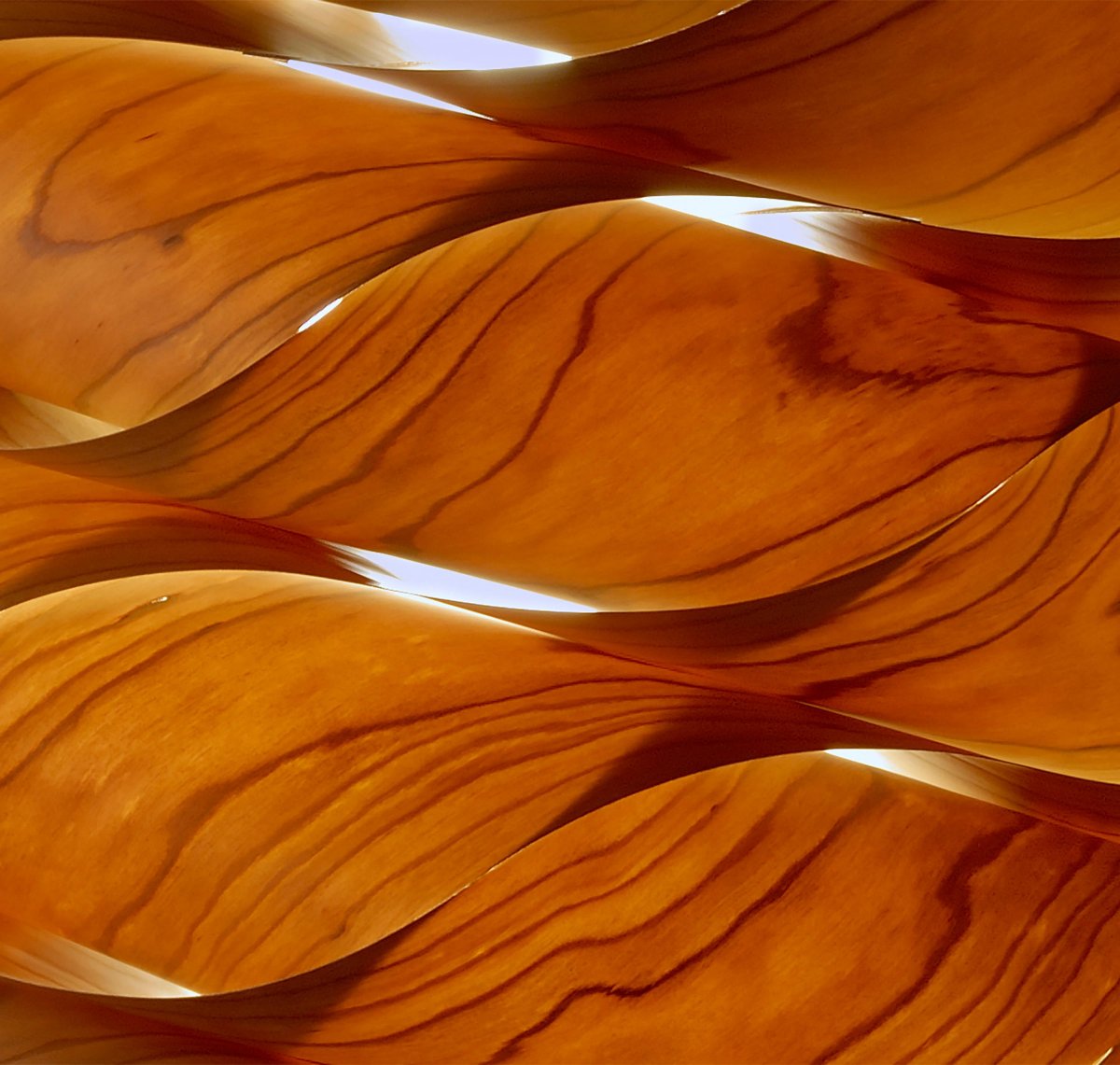 Текстура шпона