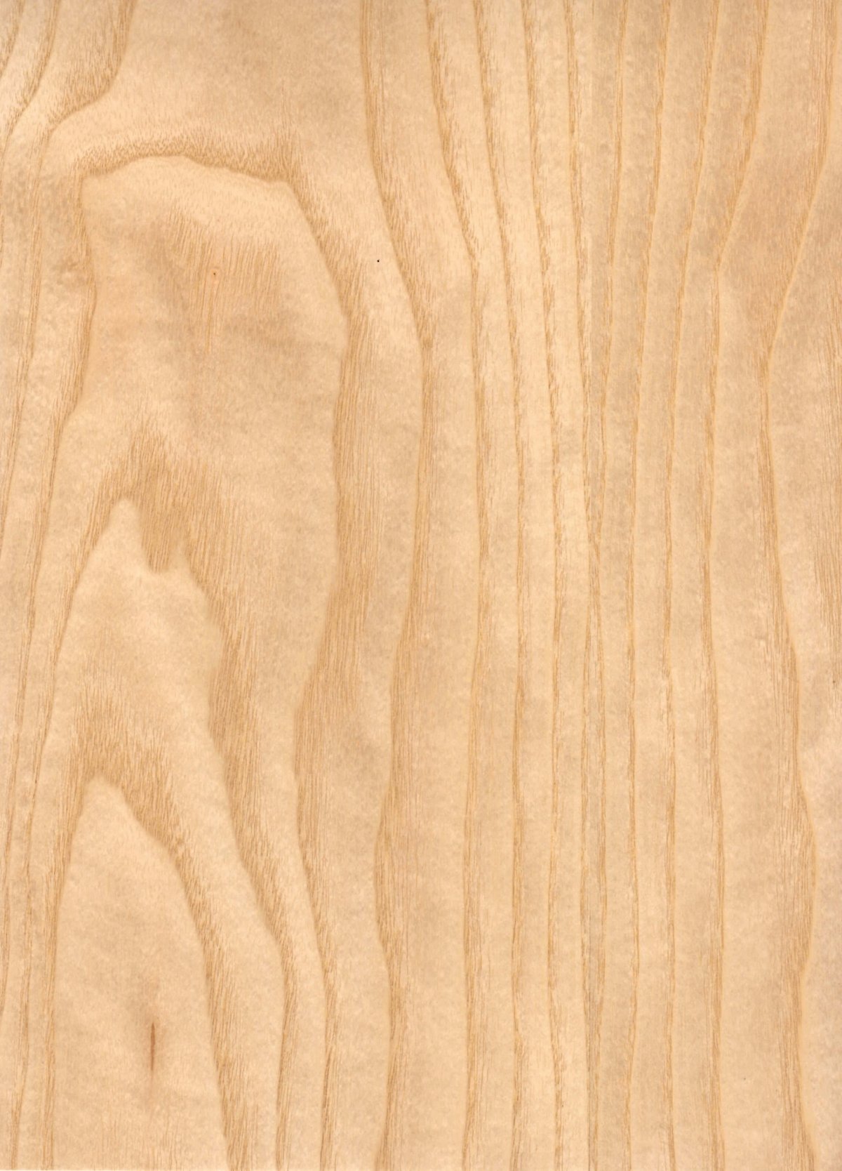 Ясень текстура древесины