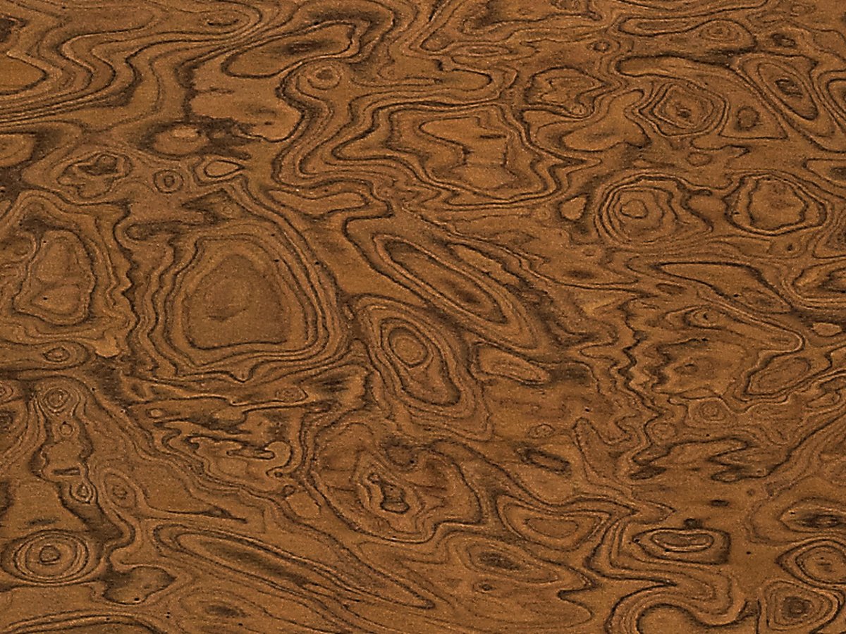 Дуб текстура