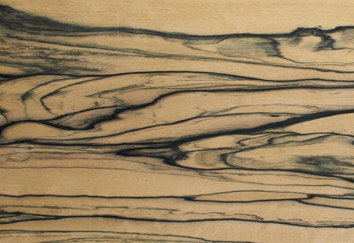 Эбен лунный шпон Вудсток