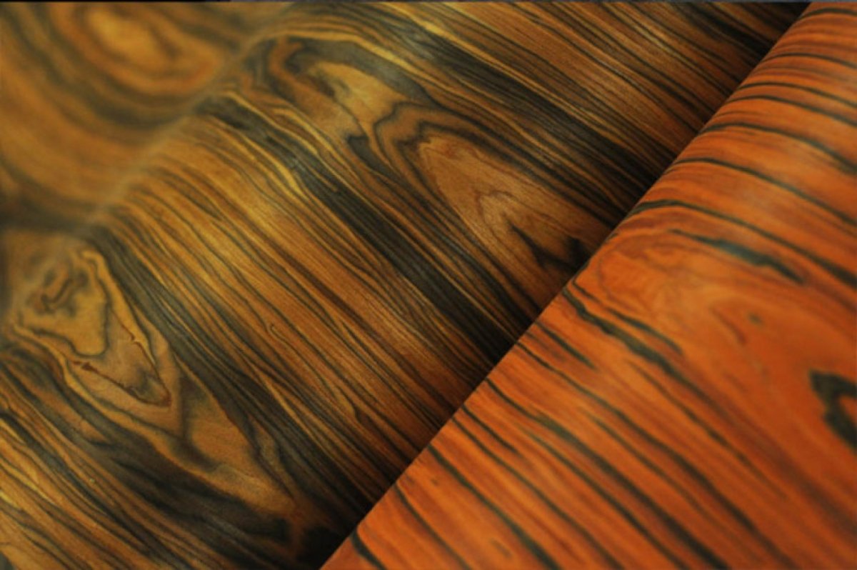 Шпон карагач Woodstock