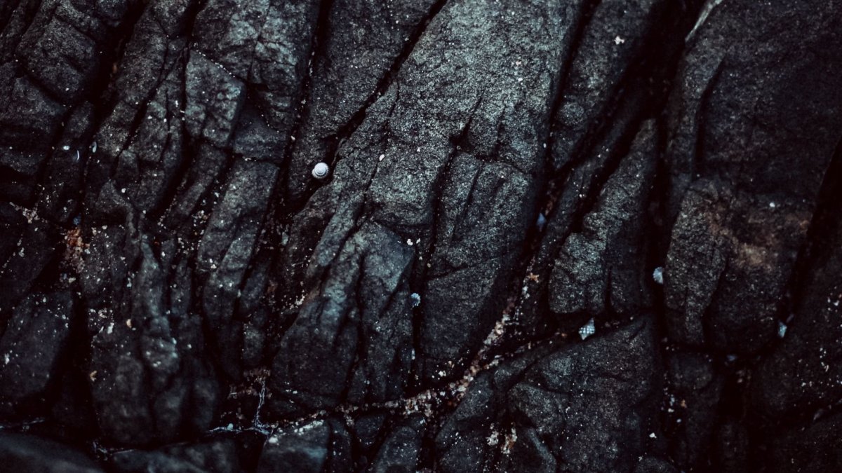 Текстура камня