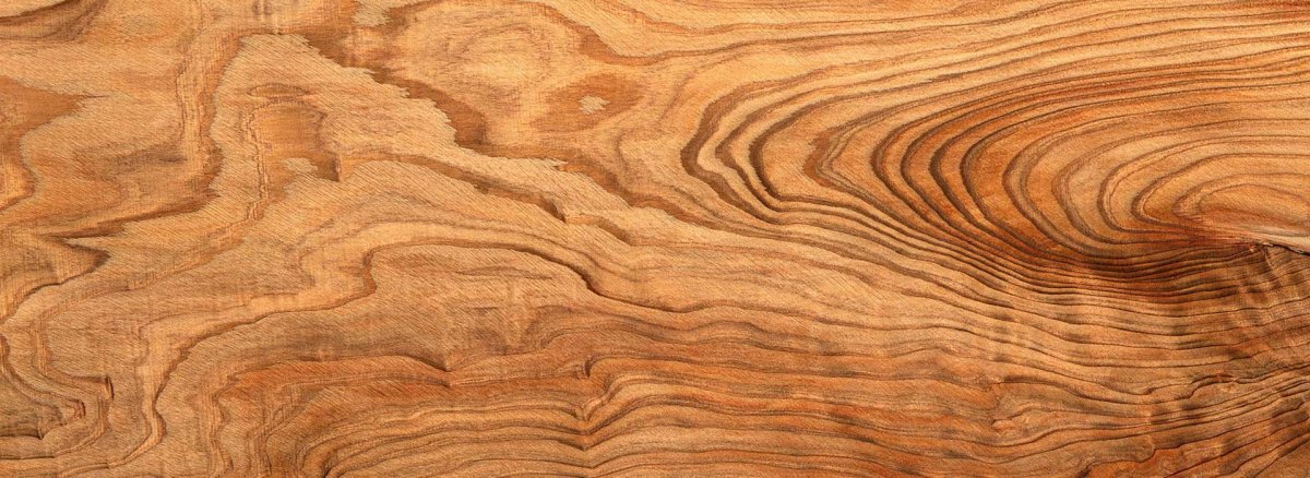 Лиственница тангенциальный