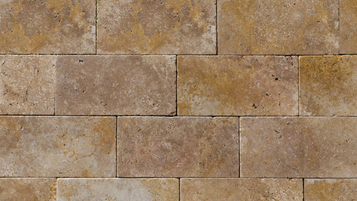 Песчаник ракушечник