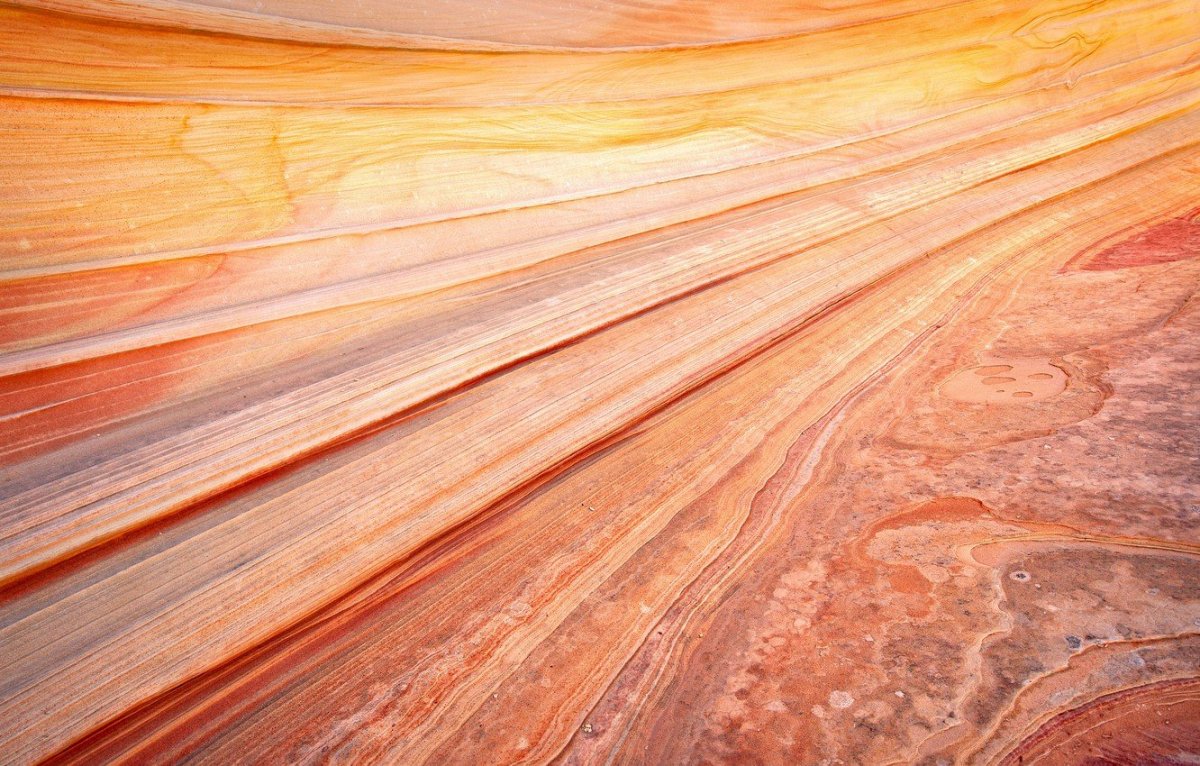 Красивая древесина