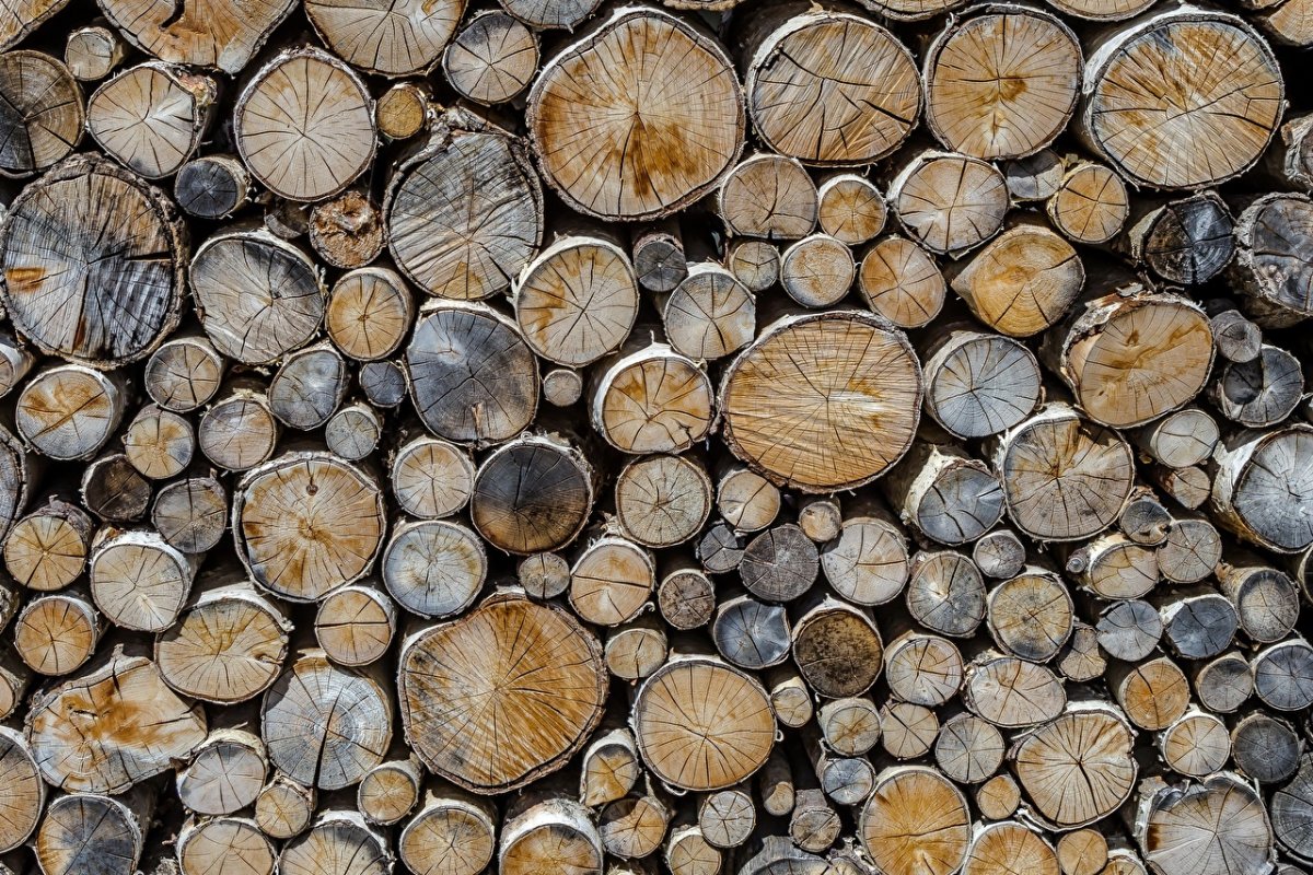 Фактура бревна