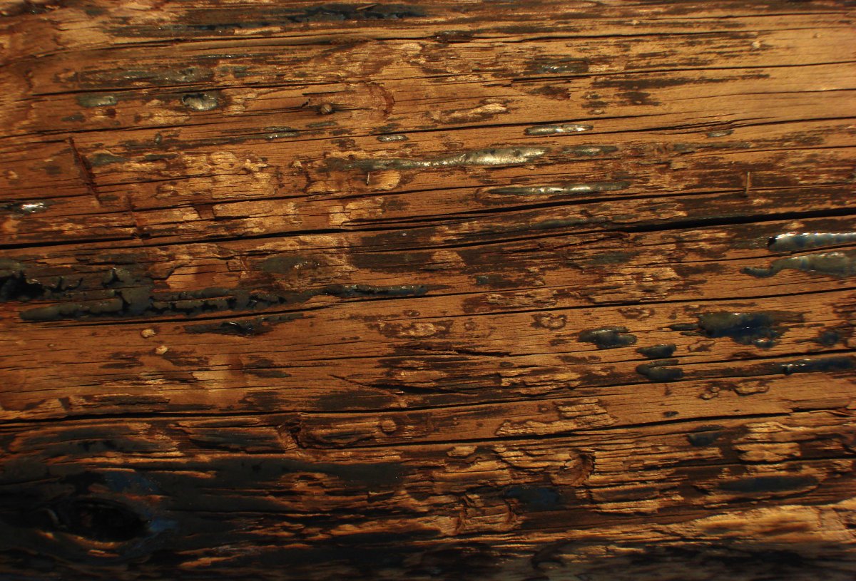 Стена из бревен текстура