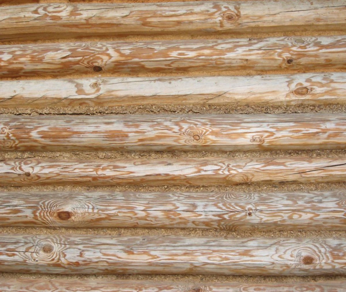 Стена из бревен