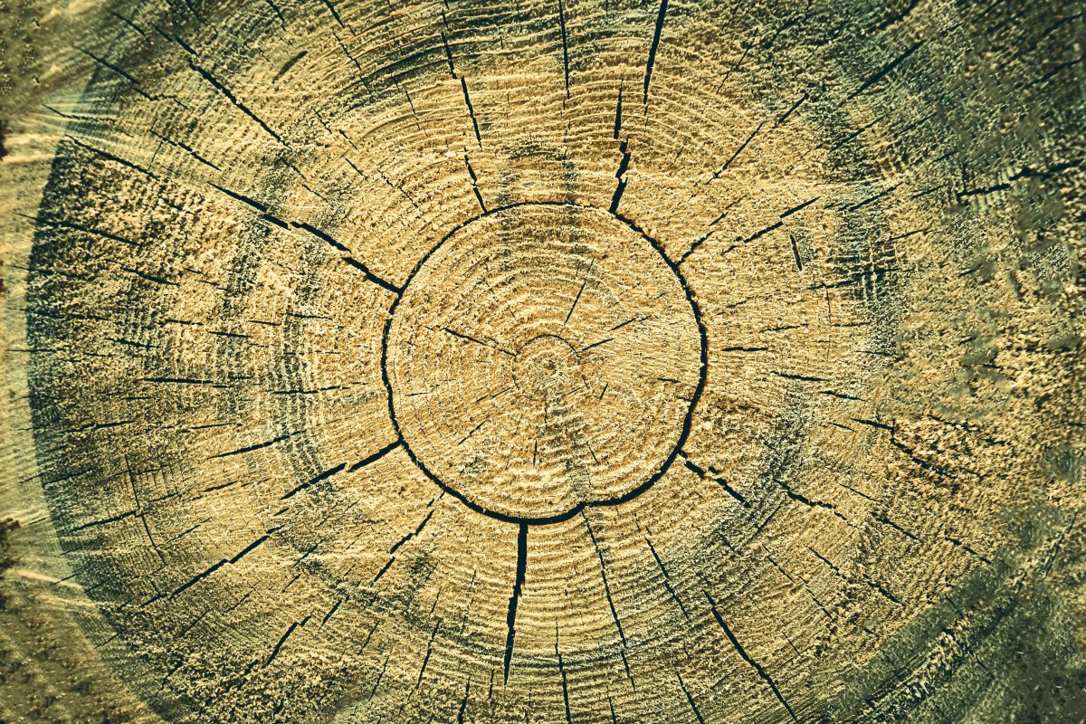 Фон бревенчатая стена в избе