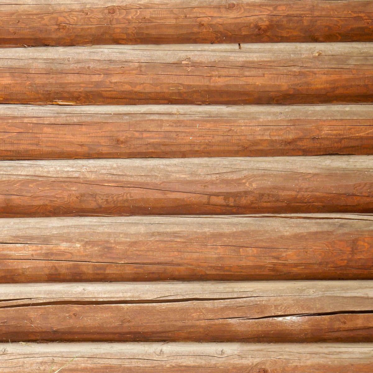 Текстура бревна