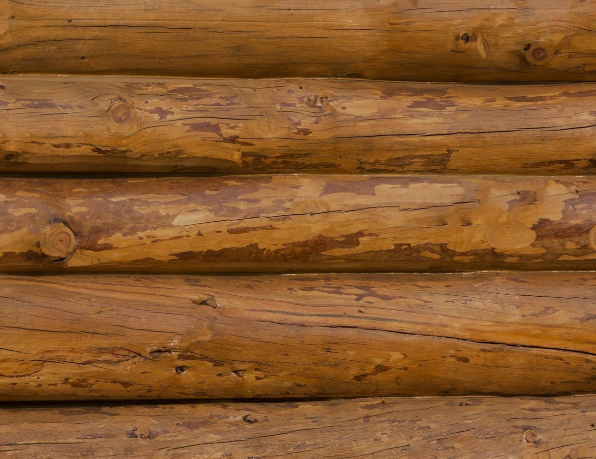 Бревенчатая стена