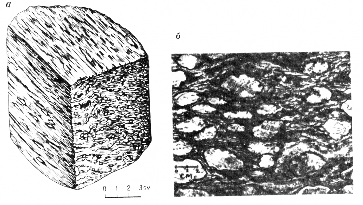 Структура осадочных пород презентация