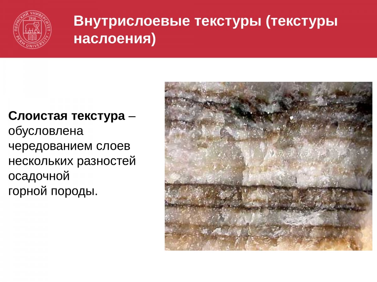 Слюдяные гнейсы