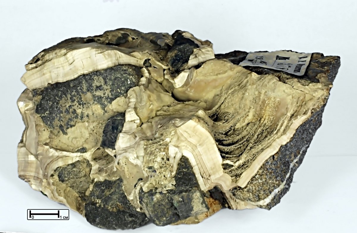 Метаморфические горные породы полезные ископаемые